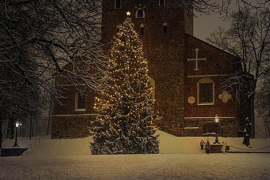 Henriette von Nassau-Weilburg hat den Christbaum nach Österreich gebracht. 