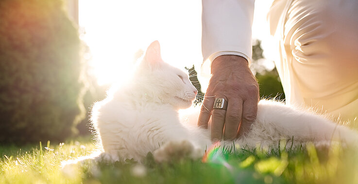 Papst Benedikt XVI. soll ein echter Katzen-Fan gewesen sein. 