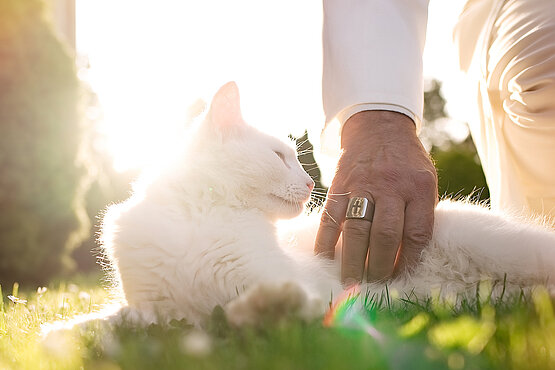 Papst Benedikt XVI. soll ein echter Katzen-Fan gewesen sein. 