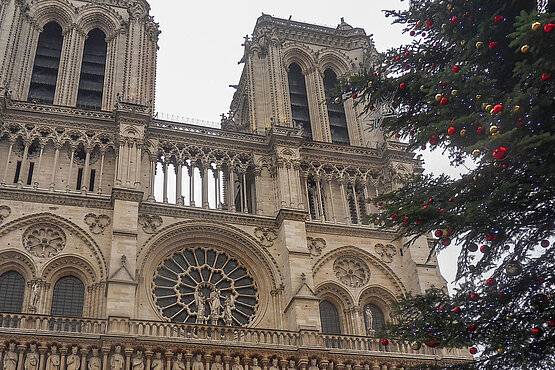 Geschmückter Weihnachtsbaum vor Notre-Dame