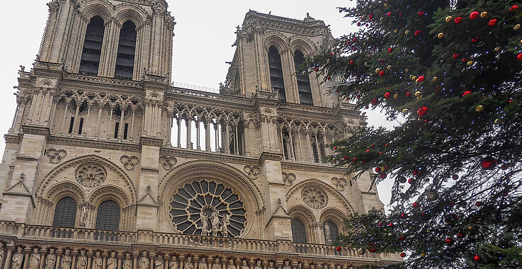 Geschmückter Weihnachtsbaum vor Notre-Dame