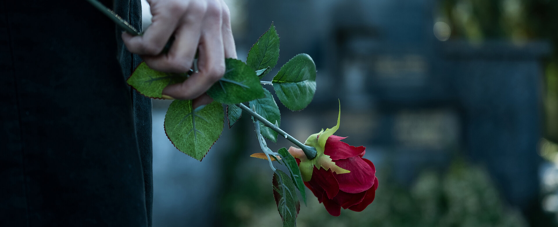 Allerseelen: Nach dem Tod eines Elternteils oder nahen Angehörigen stellen sich für viele Menschen existenzielle Fragen. 