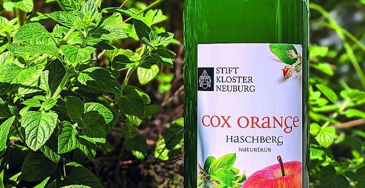 Cox Orange – die Lieblingssorte von Herrn Elias.