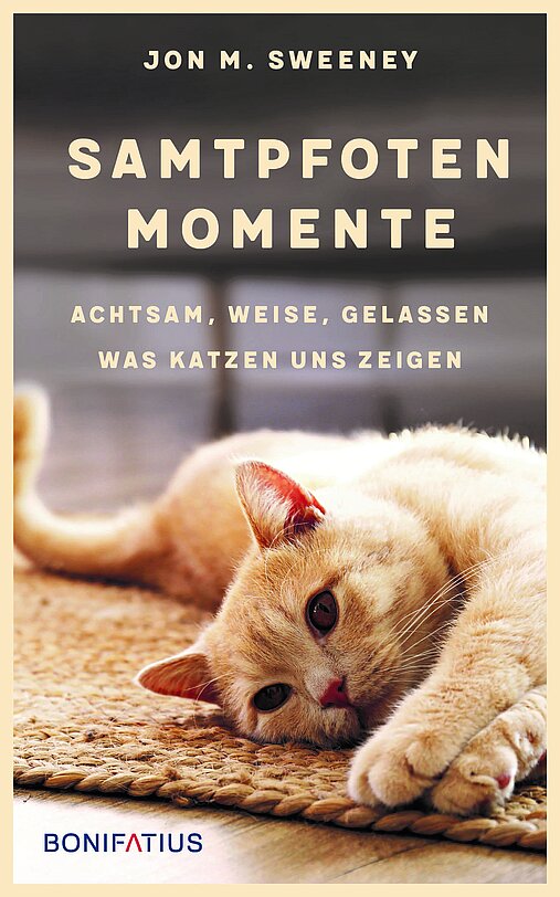 Cover vom Buch "Samtpfotenmomente"