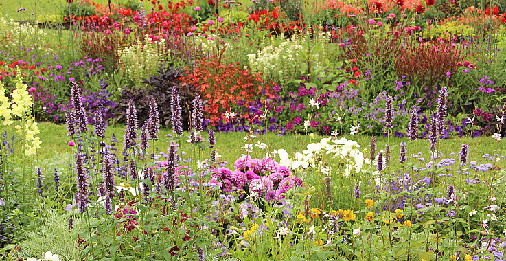 Garten voller Blumen