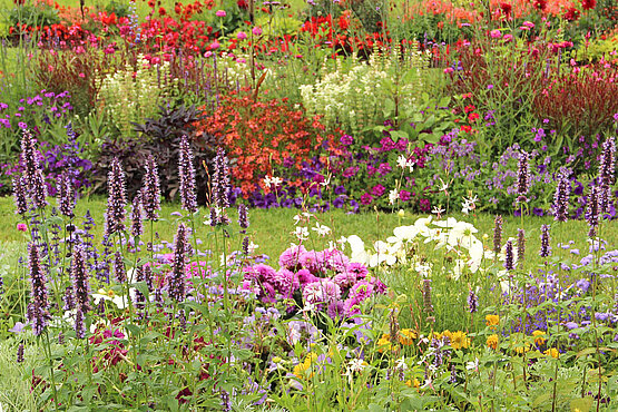 Garten voller Blumen